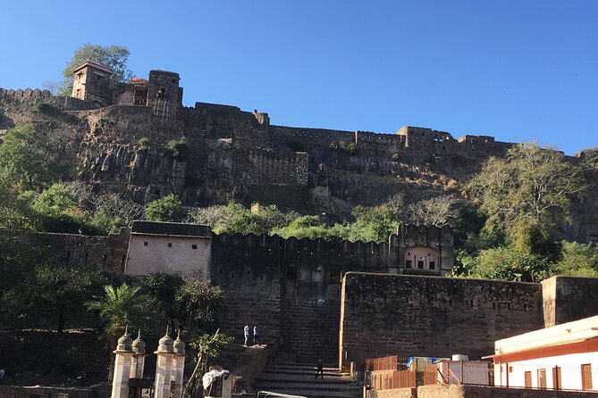03 Days Private Ranthambore Wildlife Safari Tour From Delhi - The seven-hour road from Delhi to Ranthambore