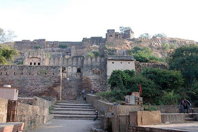03 Days Private Ranthambore Wildlife Safari Tour From Delhi - Two safari drives, with the canter difference