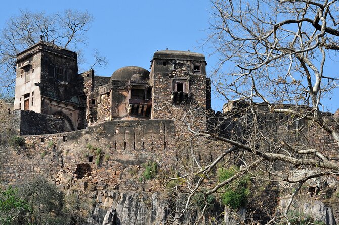 03 Days Private Ranthambore Wildlife Safari Tour From Delhi - Who will get the most from this format