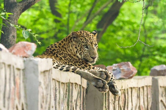 05 Days - Private Luxury Golden Triangle Tour with Ranthambore - Day 1: Delhi from Qutub Minar to Chandni Chowk