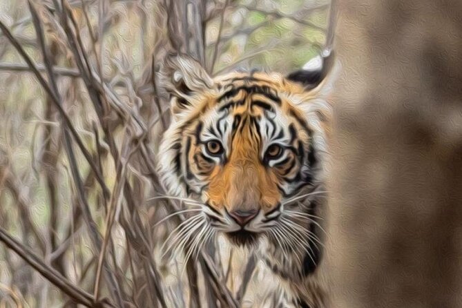 05 Days - Private Luxury Golden Triangle Tour with Ranthambore - Day 2: The Taj Mahal at sunrise and Agra Fort