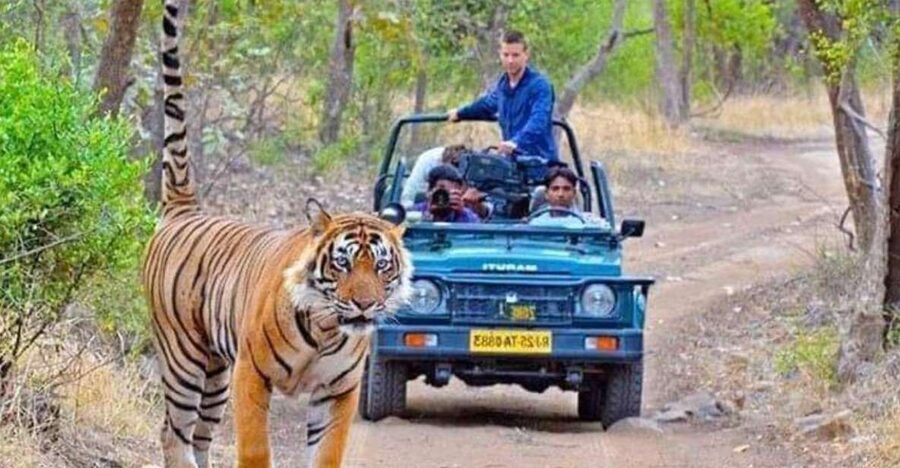 06 Days Golden Triangle Tour with Ranthambore Safari - Key points to know before booking