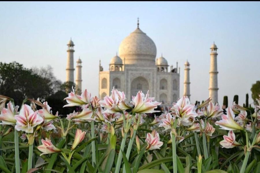06 Days Golden Triangle Tour with Ranthambore Safari - What this six-day route is really like