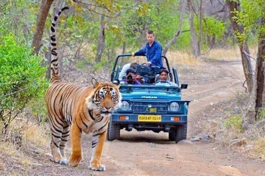06 Days Golden Triangle Tour with Ranthambore Safari - Day 2: Delhi’s monuments, then the road to Jaipur