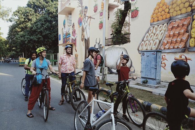 3.5-Hours South Delhi Private Bike Tour with Lodi Art District - Why a bicycle changes South Delhi