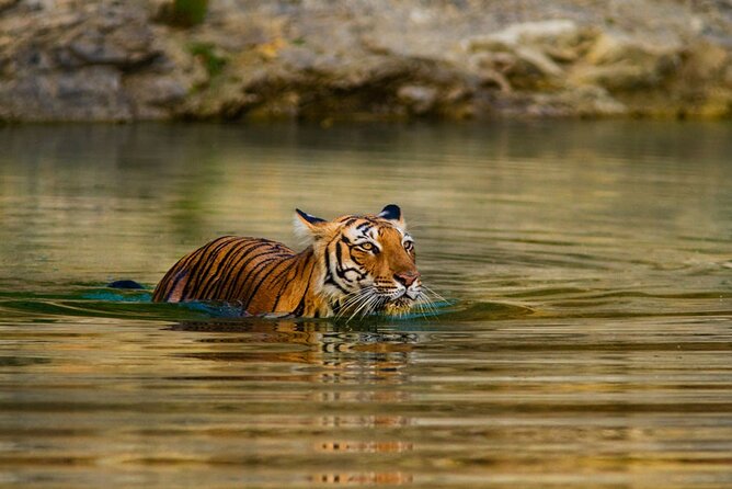 3-Day Private Ranthambhore Tiger Tour Including Delhi, Agra, Jaipur - Why this route feels different from a standard Golden Triangle tour