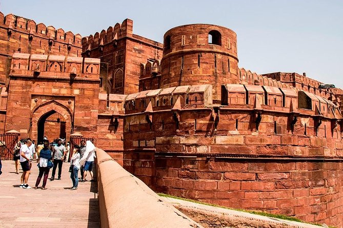 3-Day Private Ranthambhore Tiger Tour Including Delhi, Agra, Jaipur - Two Ranthambore safaris offer the best wildlife chance