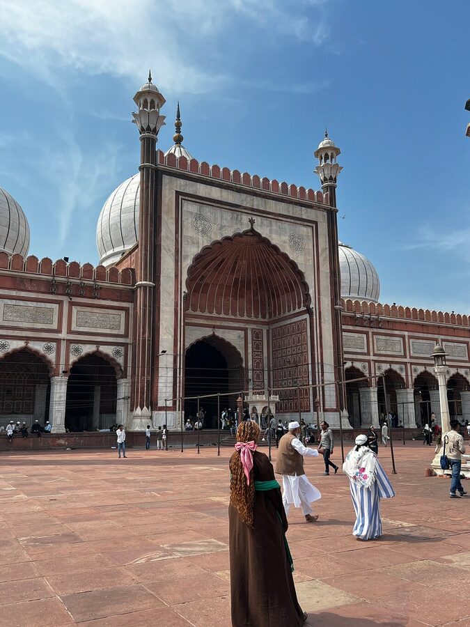3 Days 2 Night Golden Triangle Tour – Private Luxury Experience - Food, hotels, and the real price