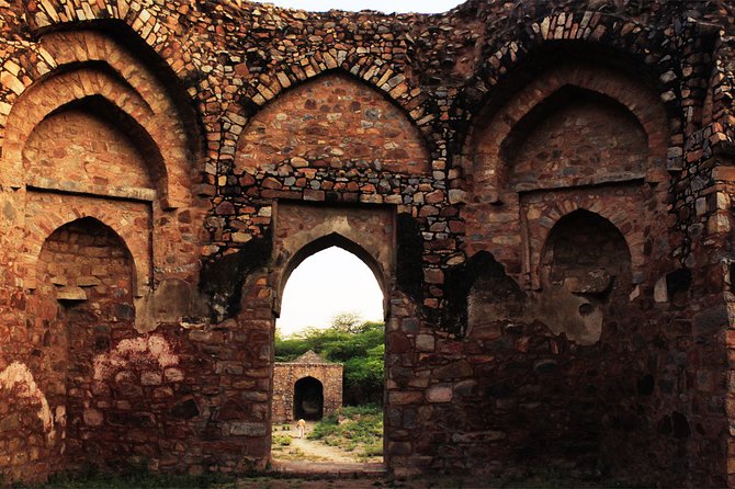 3-Hour Mehrauli Archaeological Park Ruins Walking Tour Delhi - The guide makes the difference