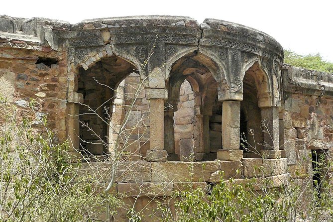 3-Hour Mehrauli Archaeological Park Ruins Walking Tour Delhi - What the $28.47 price really buys