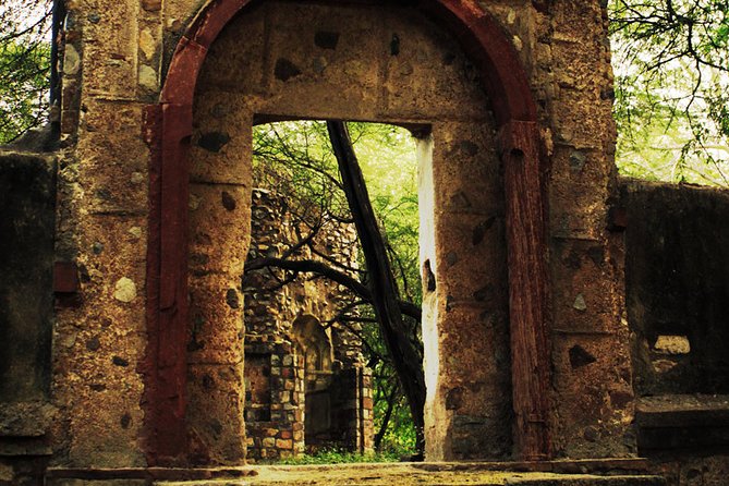3-Hour Mehrauli Archaeological Park Ruins Walking Tour Delhi - Timing, pace, and what to bring