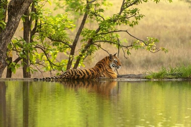 4 Day Golden Triangle Tour with Ranthambore Tiger Tour - The big appeal: monuments and tigers in one short trip