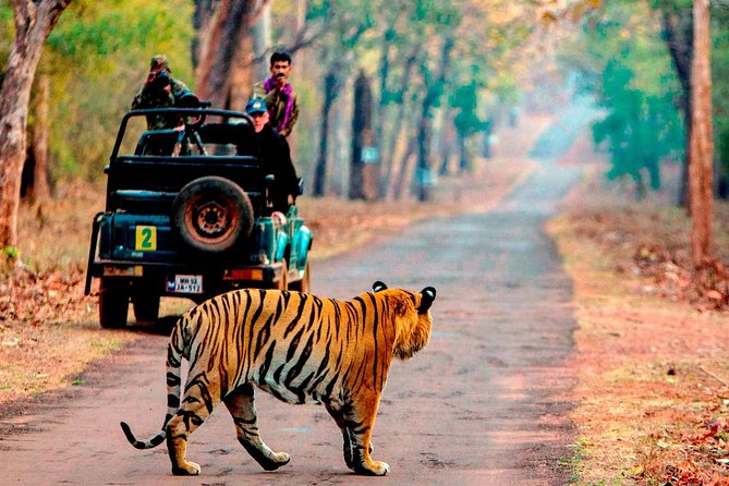 4 Days Golden Triangle Tour with Ranthambore from Delhi - What this four-day tour is really trying to do
