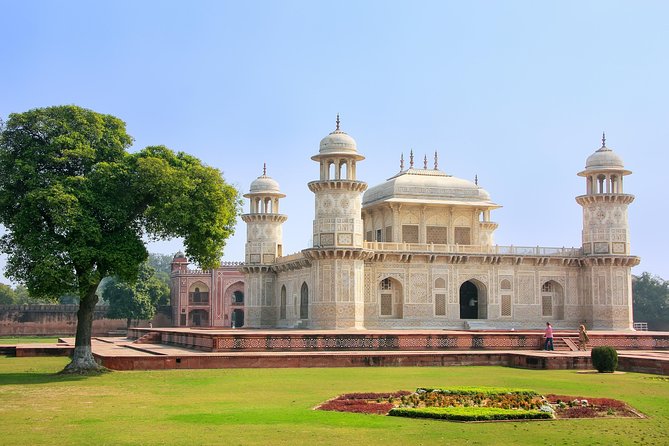 4-Days Golden Triangle Tour with Ranthambore Safari from Delhi - Day 3: Ranthambore safari and the move to Jaipur