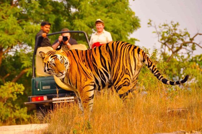 5 Days Golden Triangle Tour with Ranthambore Delhi Agra Jaipur - Why this route works in only five days