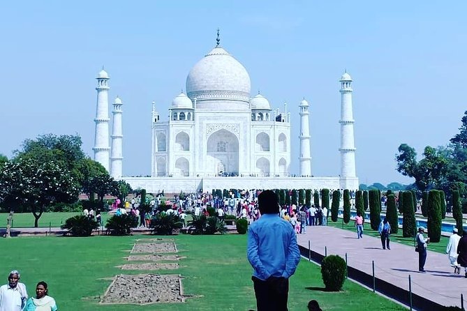 5 Days Golden Triangle Tour with Ranthambore Delhi Agra Jaipur - Day 5: Returning to Delhi