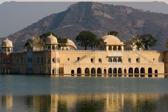 5 Days Golden Triangle Tour with Ranthambore(Delhi Agra Jaipur Ranthambore Tour) - Ranthambore adds a wildlife gamble
