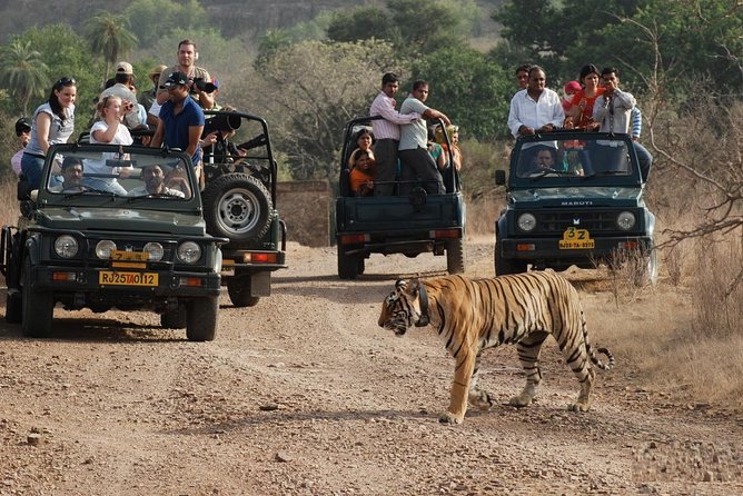 5 Days Golden Triangle Tour with Ranthambore Tiger Safari - How the five-day route works