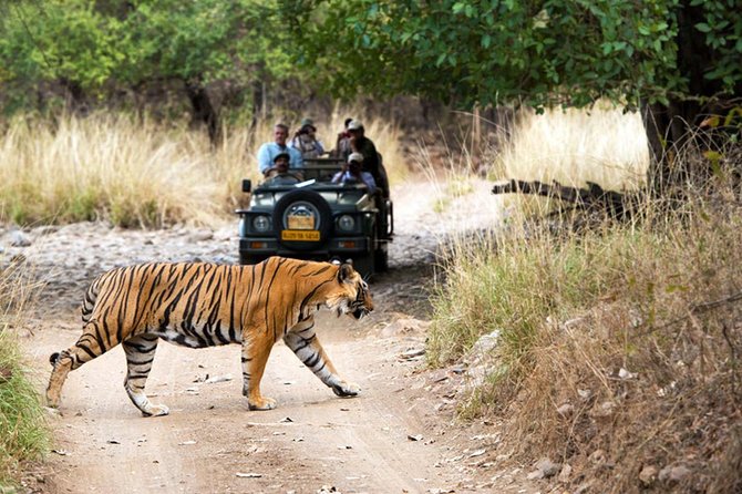 5 Days Golden Triangle Tour with Ranthambore Tiger Safari - Day 4: Amber Palace and Jaipur’s royal center