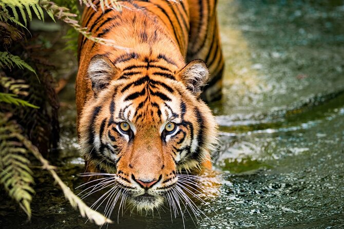 5 Days Golden Triangle with Ranthambore (Delhi Agra Jaipur Ranthambore Tour) - Day 1: Delhi from India Gate to Qutub Minar