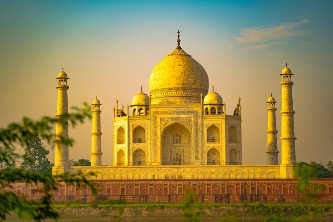 5 Days Golden Triangle with Ranthambore (Delhi Agra Jaipur Ranthambore Tour) - Day 3: One early safari in Ranthambore National Park
