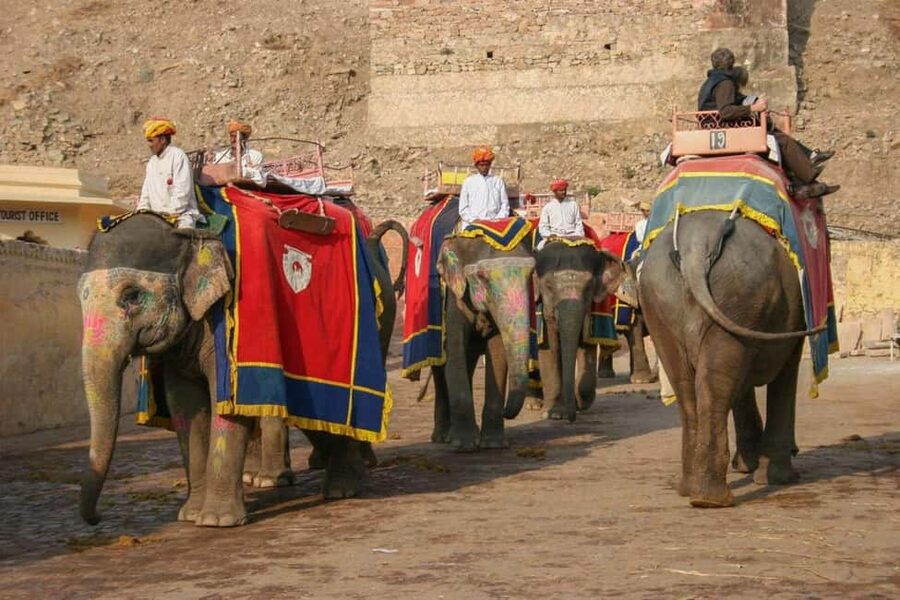 6 Day Golden Triangle Tour with Varanasi from Delhi - Day 5: Varanasi, the Ganges, and evening Ganga Aarti