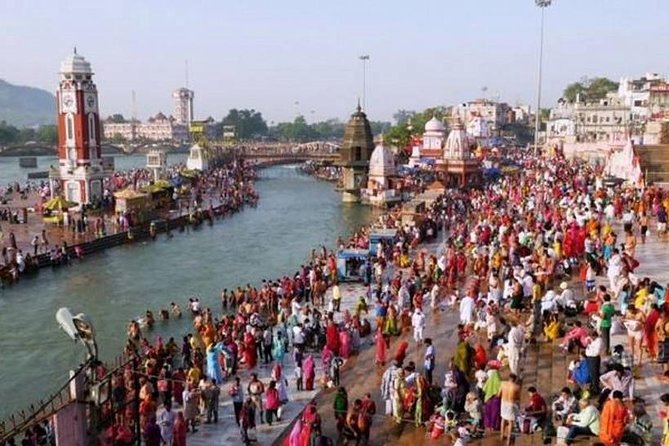 6-Day Rishikesh & Haridwar Spiritual Tour from Delhi - Day 4: Vashistha Cave and Rajaji National Park