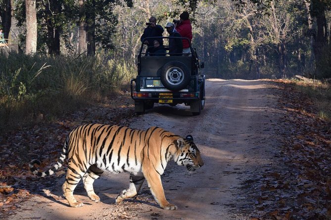 6 Days Golden Triangle Tour with Ranthambore: Delhi Agra Jaipur Ranthambore Tour - Ranthambore adds a real wildlife chance