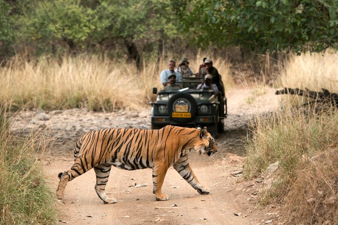 6 Days Golden Triangle Tour with Ranthambore: Delhi Agra Jaipur Ranthambore Tour - What the $539.10 price really covers