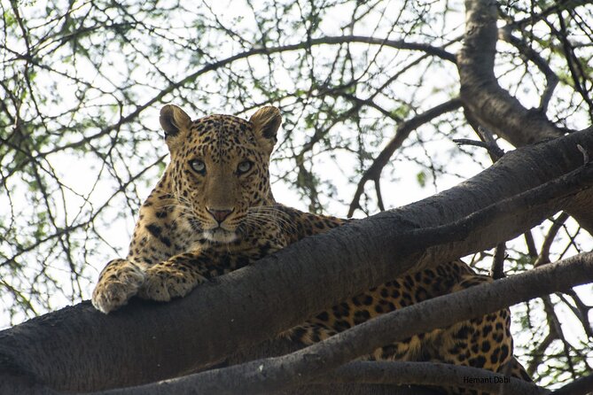 6-Days Golden Triangle Tour With Ranthambore & Jhalana Safari - Day 2: Taj Mahal at sunrise, Mughal Agra, and Abhaneri