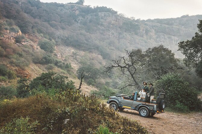 7-Day Golden Triangle Tour with Ranthambore Tiger Safari - What this seven-day route actually gives you