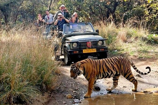7-Day Golden Triangle Tour with Ranthambore Tiger Safari - Day 2: Delhi to Agra by express highway