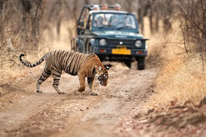 7 Days Golden Triangle Tour with Ranthambore & Varanasi Tour - Day 7: Flight from Varanasi to Delhi