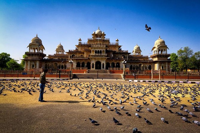 7 - Days Private Incredible Golden Triangle Tour of India - Guides can shape the whole experience
