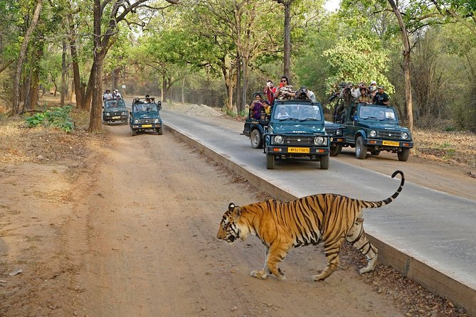8 Day Golden Triangle Tour with Ranthambore {Taj , Tigers & More} - Day 1: A simple arrival in New Delhi