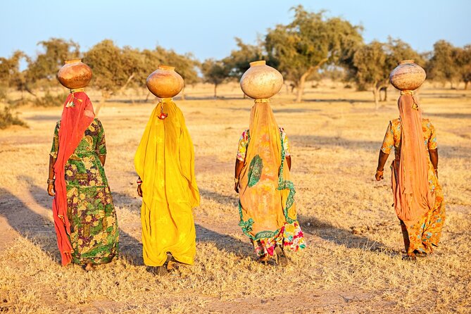 8 Days Golden Triangle Tour with Ranthambore Tiger Tour - Day 2: Old Delhi by rickshaw, then New Delhi’s grand avenues