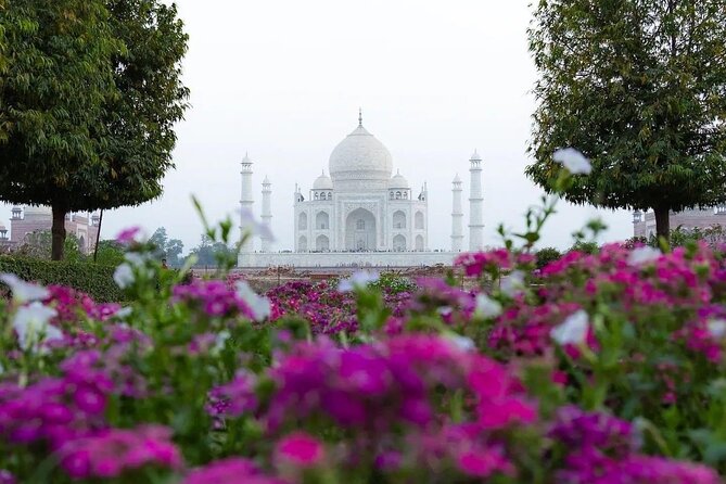 All Inclusive Same Day Taj Mahal and Agra Fort Tour from Delhi - Lunch, water, and the day’s practical comforts