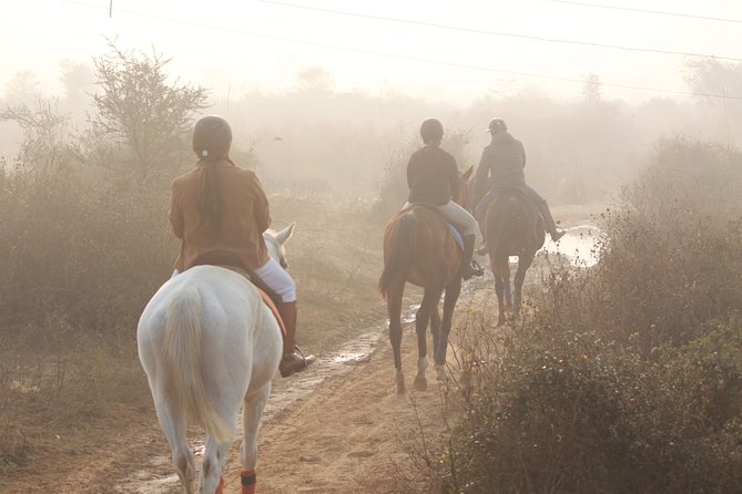 Aravali Trail Experience( Jungle Safari Forest area)- Horseback Riding - Riding into the Aravalli hills