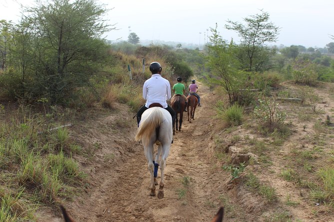 Aravali Trail Experience( Jungle Safari Forest area)- Horseback Riding - Who will enjoy this horse ride most