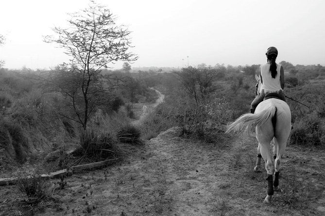 Aravali Trail Experience( Jungle Safari Forest area)- Horseback Riding - Meeting the horse and getting comfortable