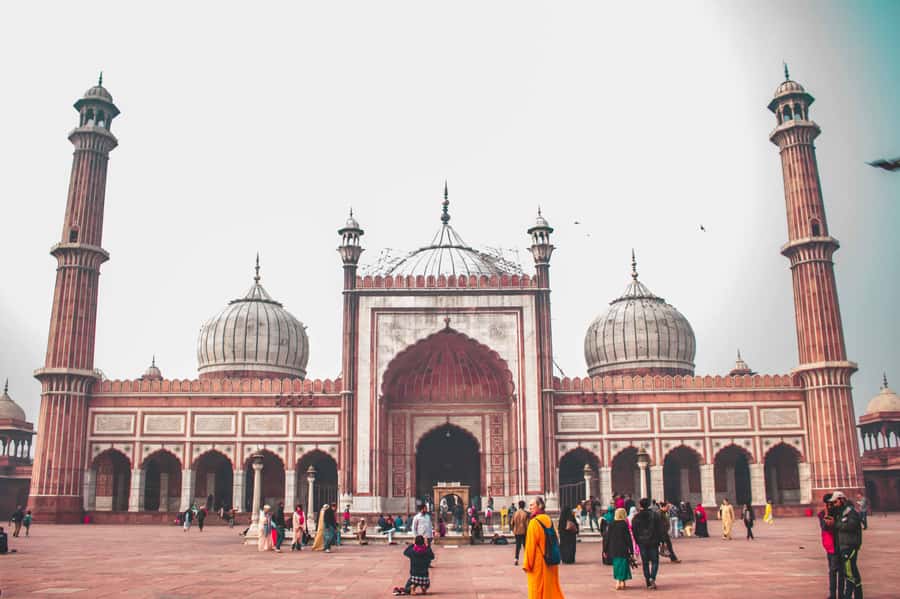 Build Your Own: custom private tour of Delhi with transfer - Who Should Book This Delhi Tour?