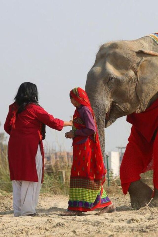 Delhi: 3Day Golden Triangle with Elephant SOS (5 Star Hotel) - Day two: the Taj Mahal, Agra Fort, and Elephant SOS