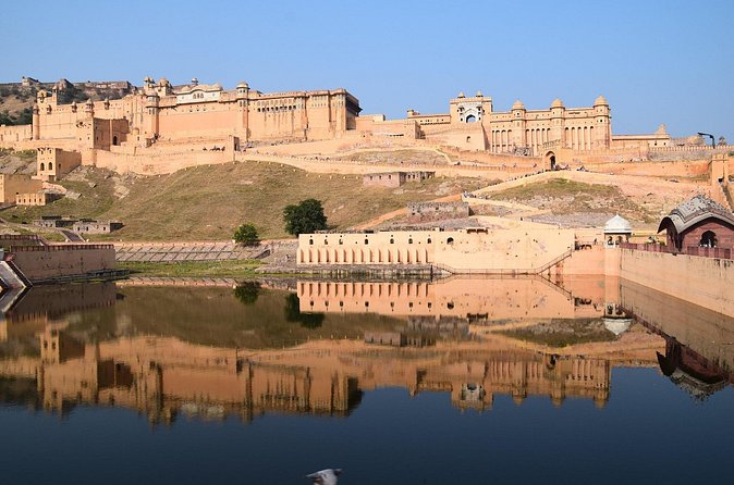 Delhi, Agra, Jaipur & Ranthambhore Tiger Safari 5-Day Tour - Hotels, meals, guides, and transport