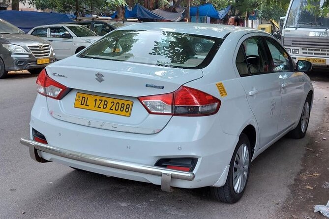 Delhi Airport to New Delhi Hotel Private Transfer - The meet-and-greet and luggage handoff