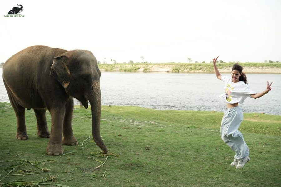 Delhi: All-Inclusive Day trip Taj Mahal with Elephant SOS - Is $21 really the full price?
