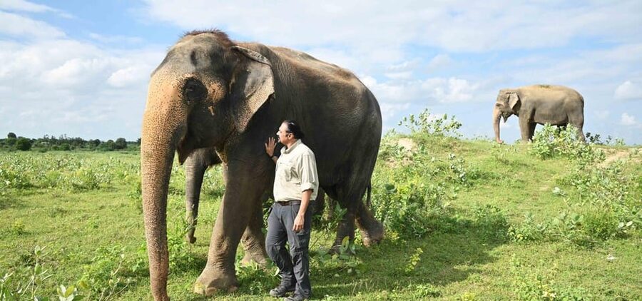 Delhi: All-Inclusive Day trip Taj Mahal with Elephant SOS - Who should choose this day trip?