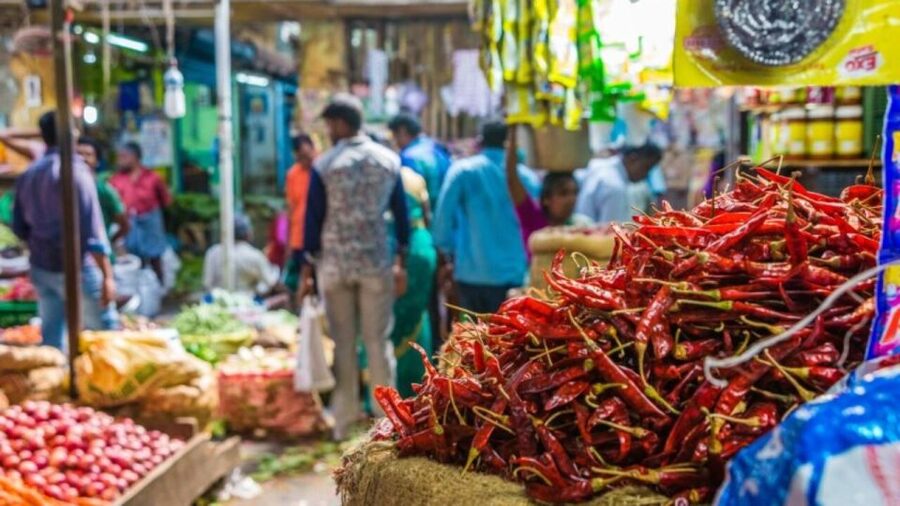 Delhi: Half day Shopping tour with guide by car. - Key points at a glance