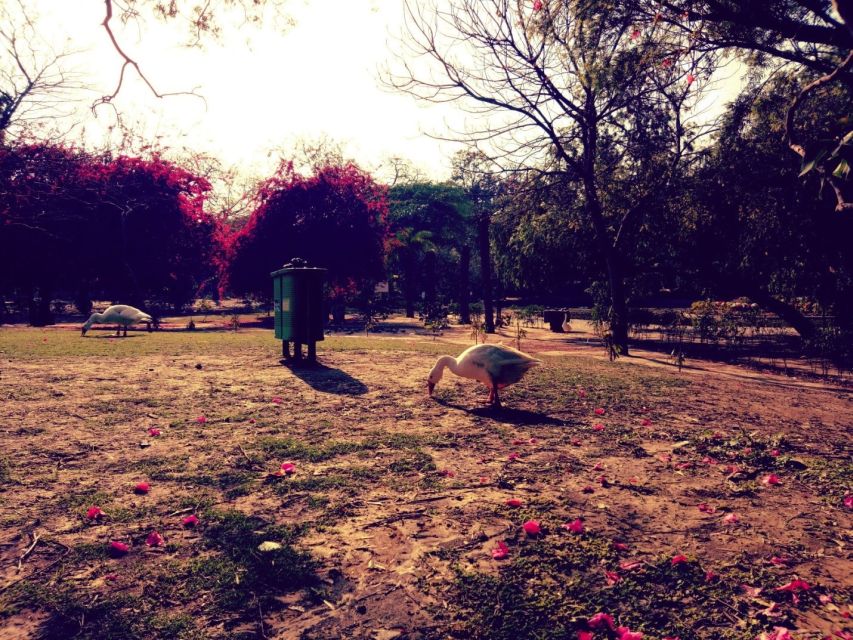 Delhi: Heritage Photography Tour - Shish Gumbad and the Lodhi dynasty