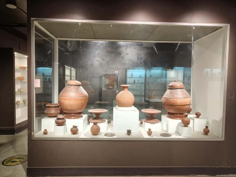 Delhi: National Museum Tour - What the $17 price gives you
