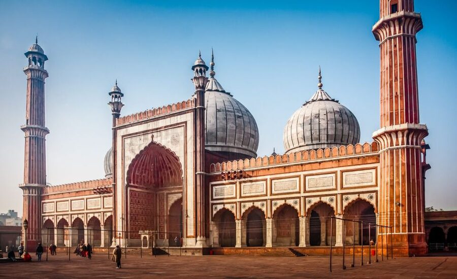 Delhi: Old Delhi City Tour with Tuk Tuk Ride & Street Food - India Gate and the return past Parliament